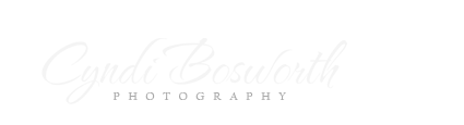 Cyndi Bosworth Photography