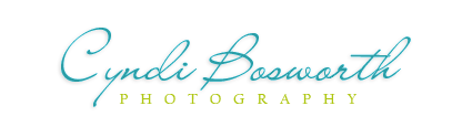Cyndi Bosworth Photography