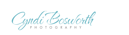 Cyndi Bosworth Photography