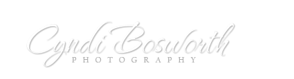 Cyndi Bosworth Photography